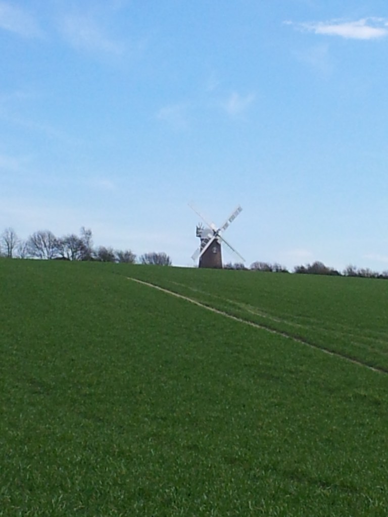 Wilton Windmill on the horizon