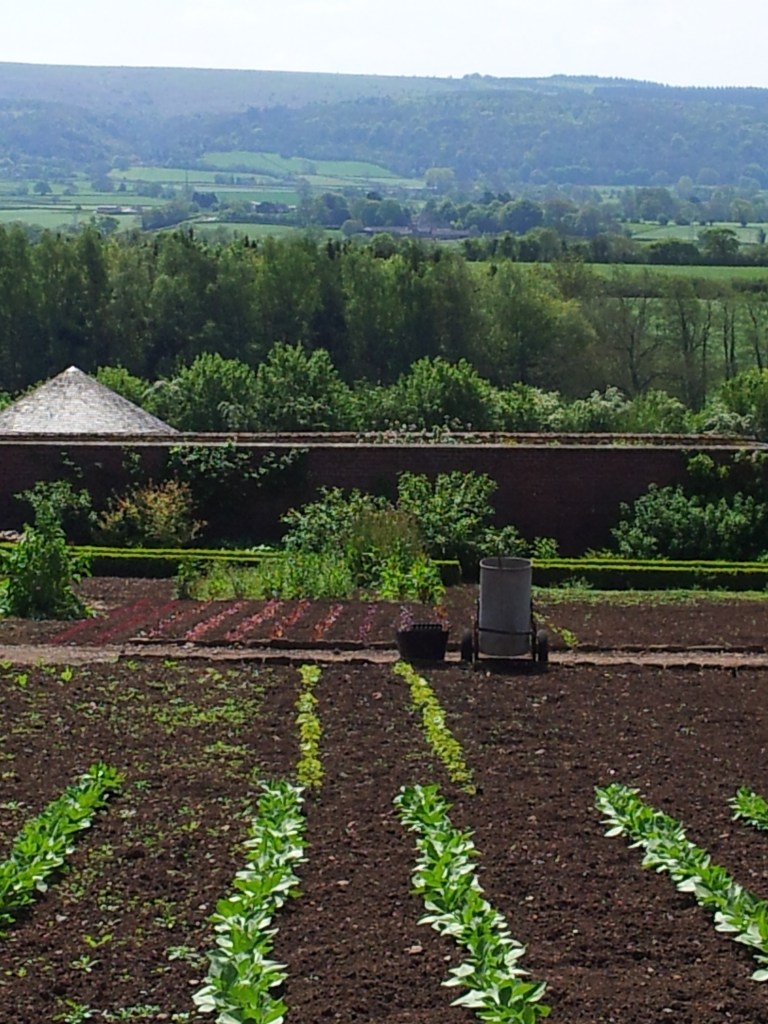 Ethicurean 3