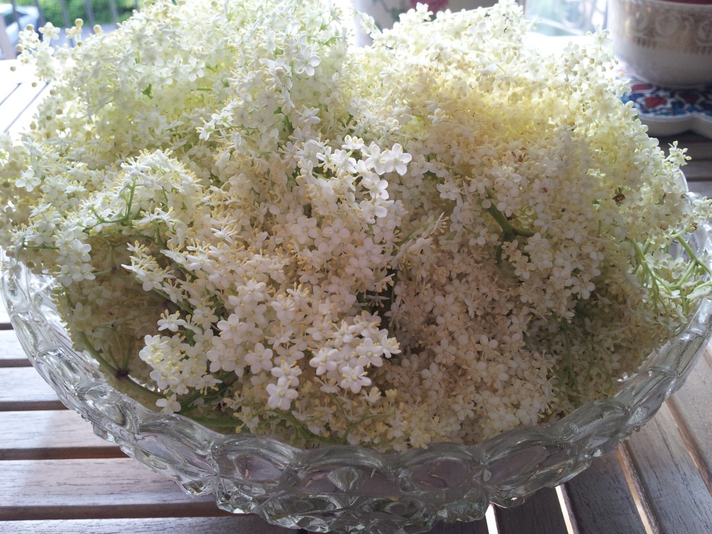 Elderflowers